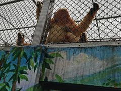 -西安秦岭野生动物园