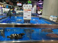 水产区-盒马鲜生(财富中心店)