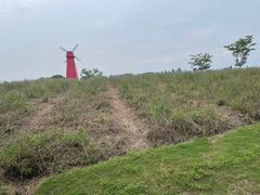 -同里国家湿地公园