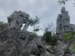 -千岛湖石林