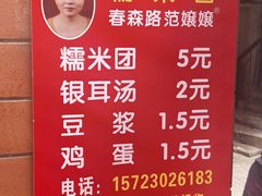 -范嬢嬢春森路糯米团