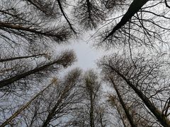 -华南国家植物园-售票处