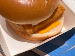 -麦当劳(欢乐谷店)