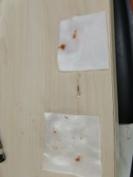 -花师傅