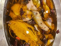 水煮份鱼-鑫巴蜀小镇 · 水煮鱼专研店(玉桥店)