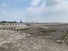 -南汇新城海滩