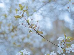 -天鹅湖体育公园