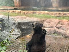 -海南热带野生动植物园