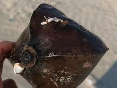 -皮蛋弟砂锅店(总店)