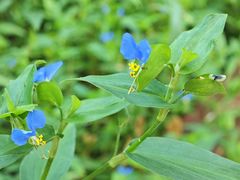 -上海佘山国家森林公园西佘山园