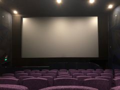 -佳兆业国际影城(鞍山店)