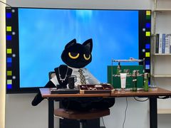 -Sony Store 索尼(上海淮海中路店)