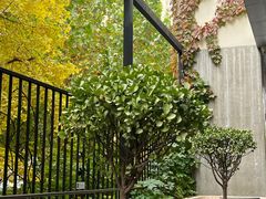 -老梦面包CHEZMOREL(麦子店)