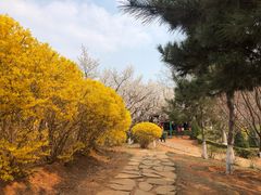 -前关湿地公园