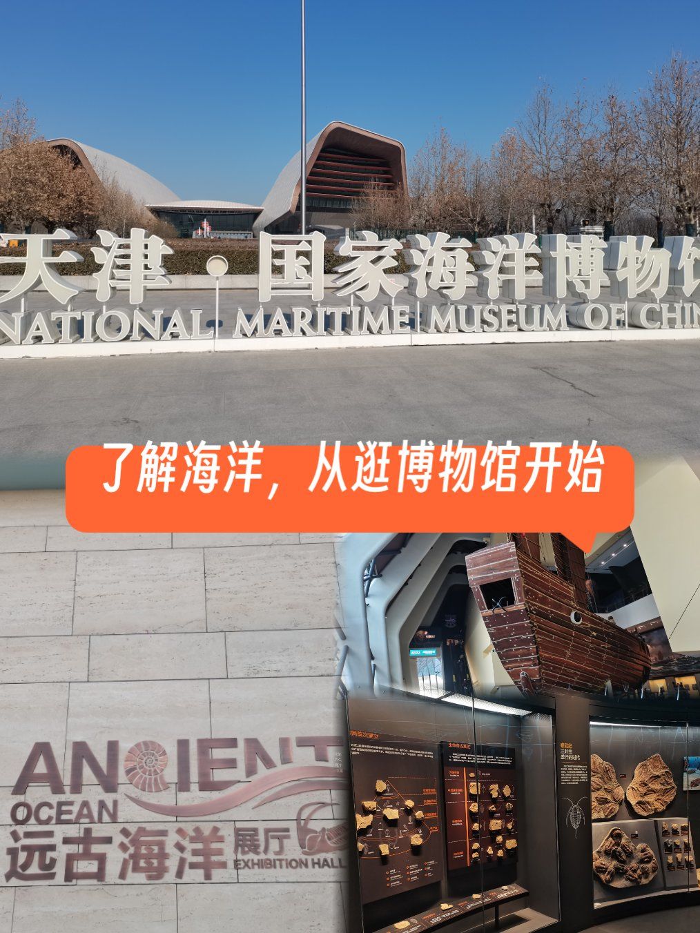 打卡海洋博物馆