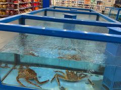 -麦德龙(浦东店)