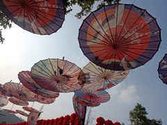 -张坝桂圆林公园