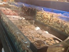 -苏格里岛自助烤肉海鲜火锅(成都金牛万达店)