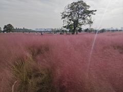 -汉长安城未央宫国家考古遗址公园