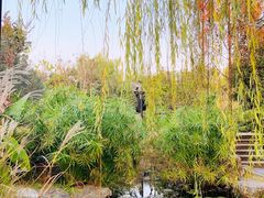 -武汉园博园(武汉自然博物馆)