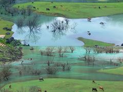 -靖西鹅泉风景区