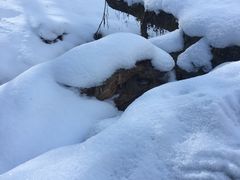 -硗碛藏寨·神木垒景区