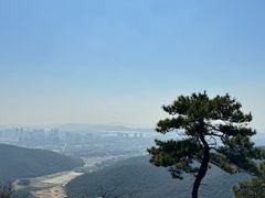 -惠山国家森林公园