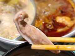 -青瓷火锅料理(西单大悦城店)