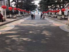 -贮水山儿童公园