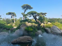 -罗红摄影艺术馆