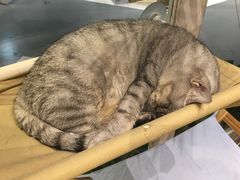 -小时光咖啡馆(开森度假森林店)