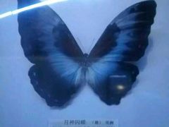 -吉林省自然博物馆