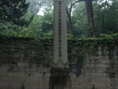 -灵谷景区