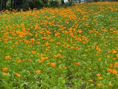 -祥源·阜阳生态乐园