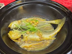 -蛇口康乐快餐鱼仔档(翠苑小区店)