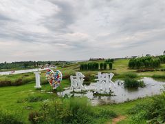 -空港花田景区