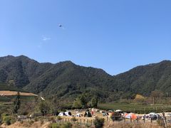 -龙坞茶村
