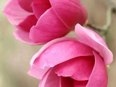 -艾溪湖湿地公园