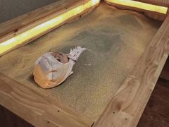 -梵舍·沙浴养生SPA