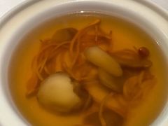 时令菌汤-鱼翅楼·津派砂锅鱼翅(水上公园店)
