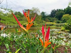 -中国科学院西双版纳热带植物园