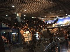 -国家自然博物馆