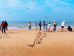 -那香海钻石沙滩浴场
