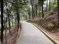 -羚羊峡古栈道森林公园