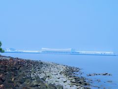 -上海吴淞炮台湾国家湿地公园