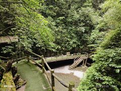 -神龙峡风景区