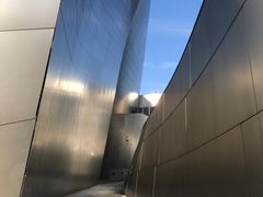 -华特·迪士尼音乐厅