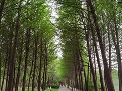 -苏州太湖国家湿地公园