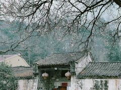 -杏花村文化旅游区
