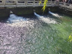 -教师之家赵家羊汤馆(东青龙街店)